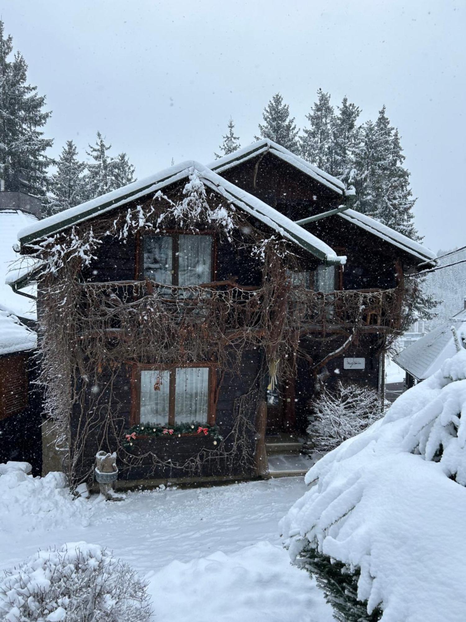 Stara Pravda Villas Bukovel Exterior photo